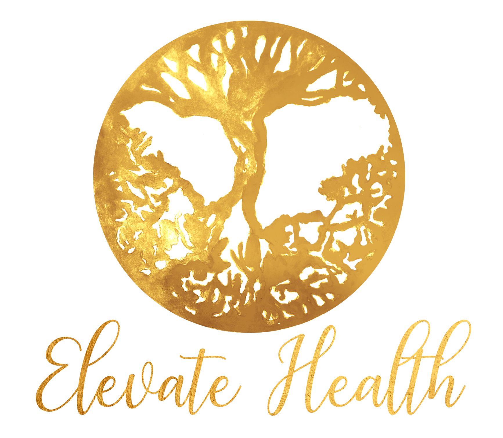 Elevate Health